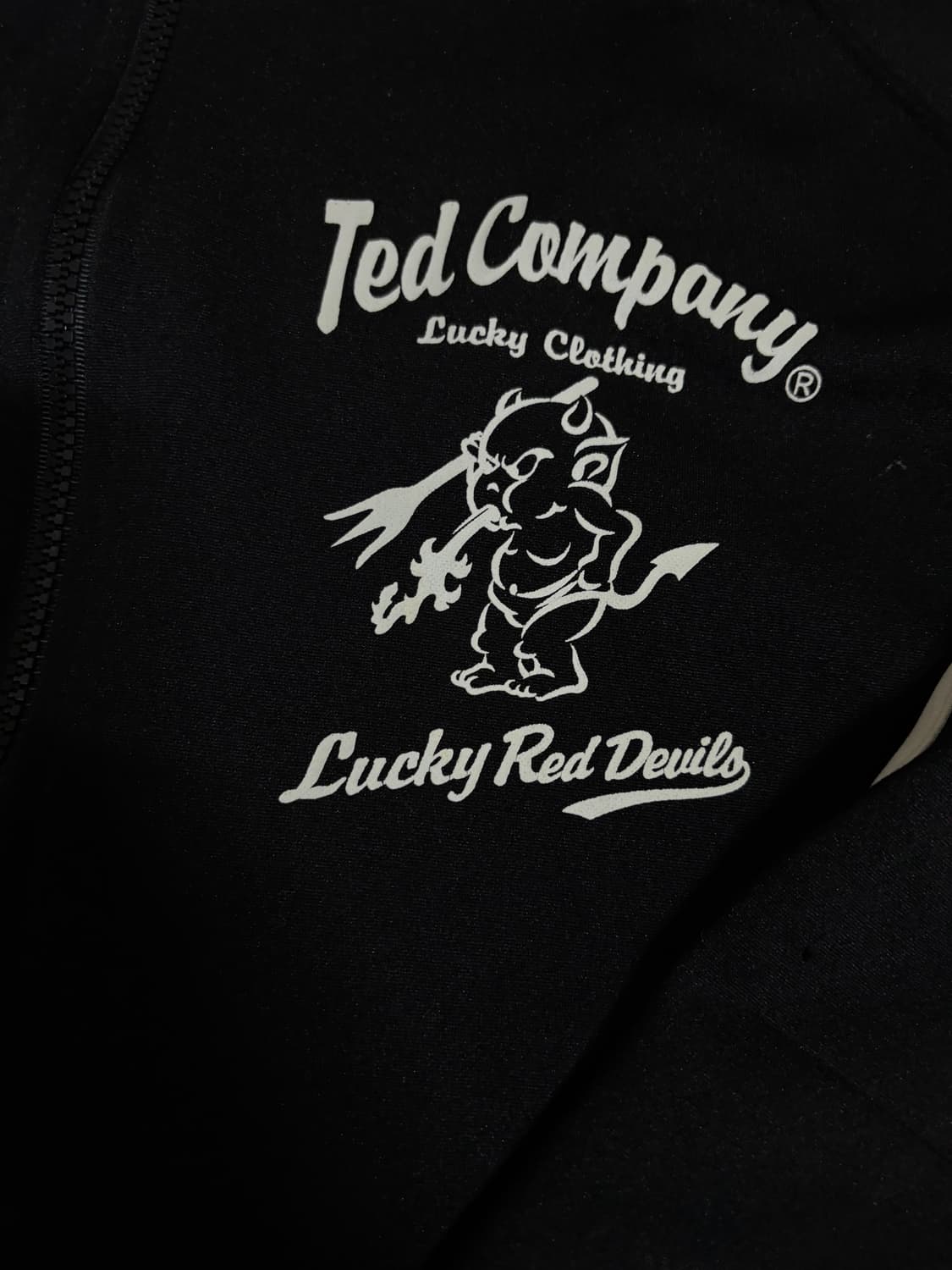 Ted Company Jip-up 상품이미지3