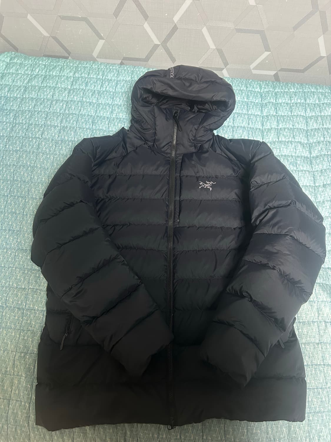 XL)24fw 아크테릭스 토륨 후디 블랙 상품이미지1