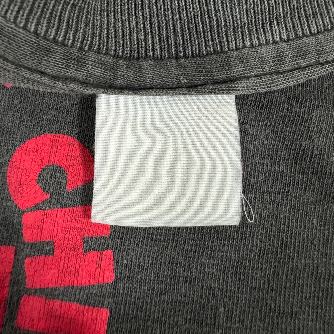 빈티지 90s 레드핫칠리페퍼스 티셔츠 RHCP Evolution Tee 상품이미지8