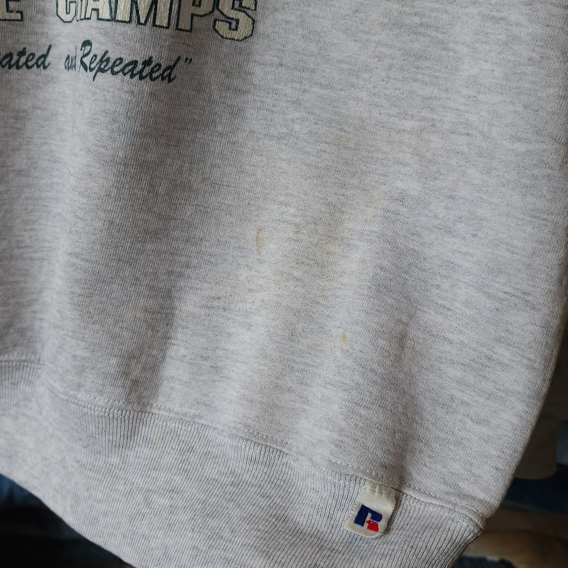 90s 러셀 후드 레이크 캣홀릭 미국 오리지널 빈티지 스웻셔츠 XL 상품이미지7