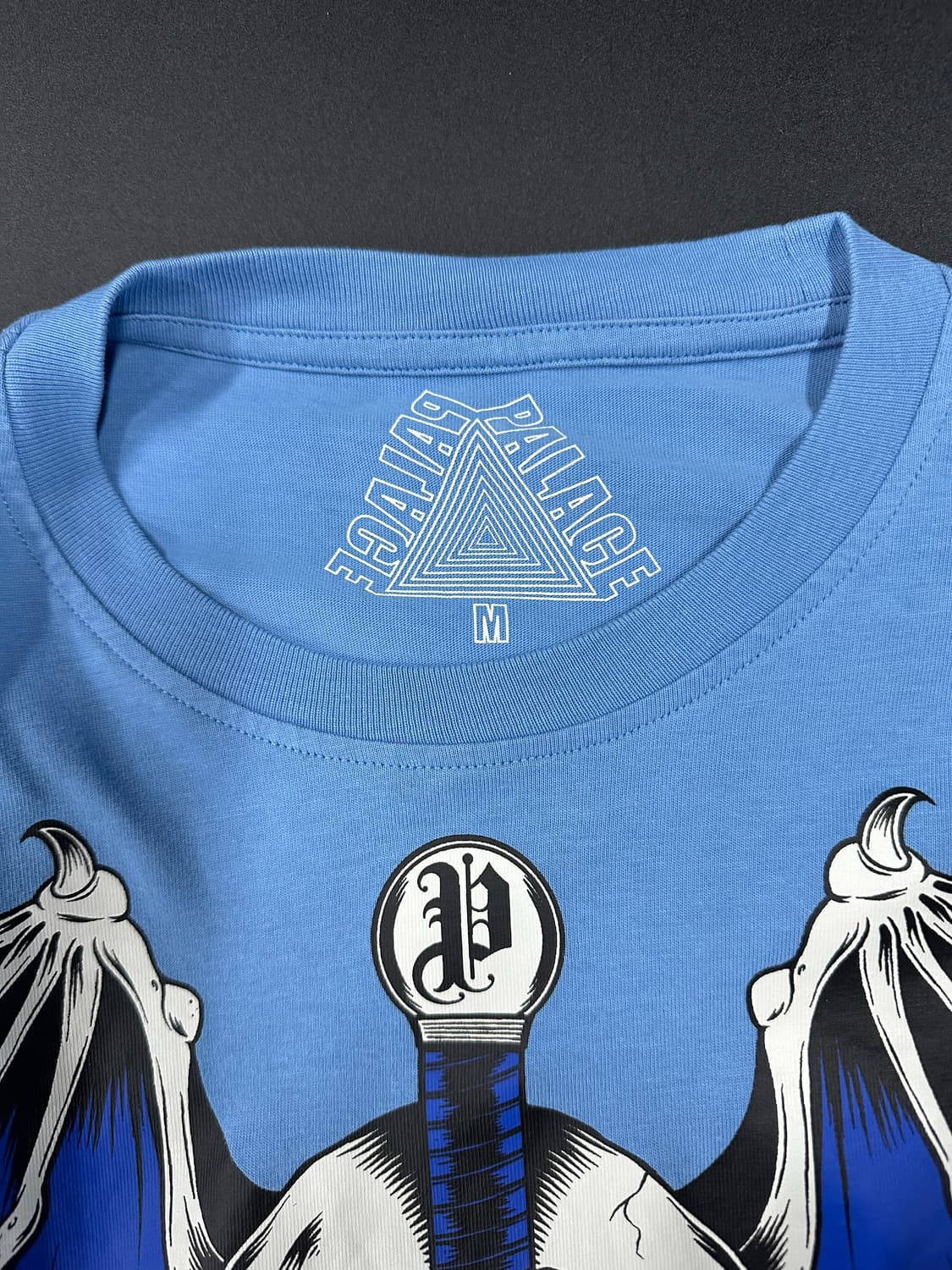 팔라스 25FW 윙스팬 롱슬리브 오션 블루 긴팔티 상품이미지5