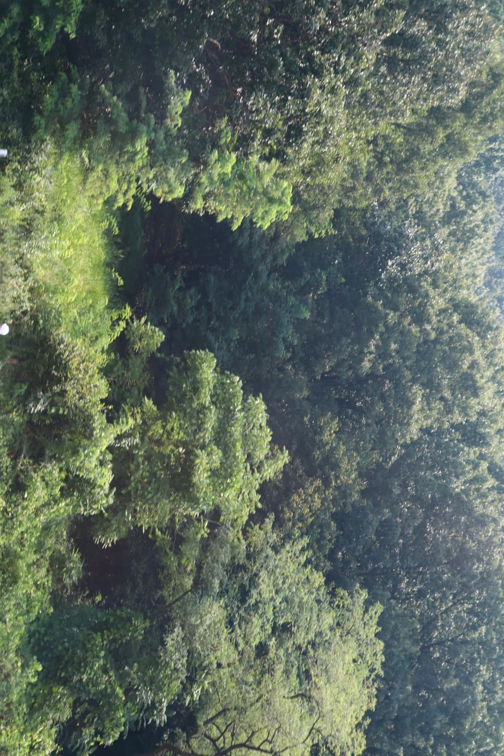 캐논 EOS 200D2 18-55 렌즈 세트 판매합니다 상품이미지9