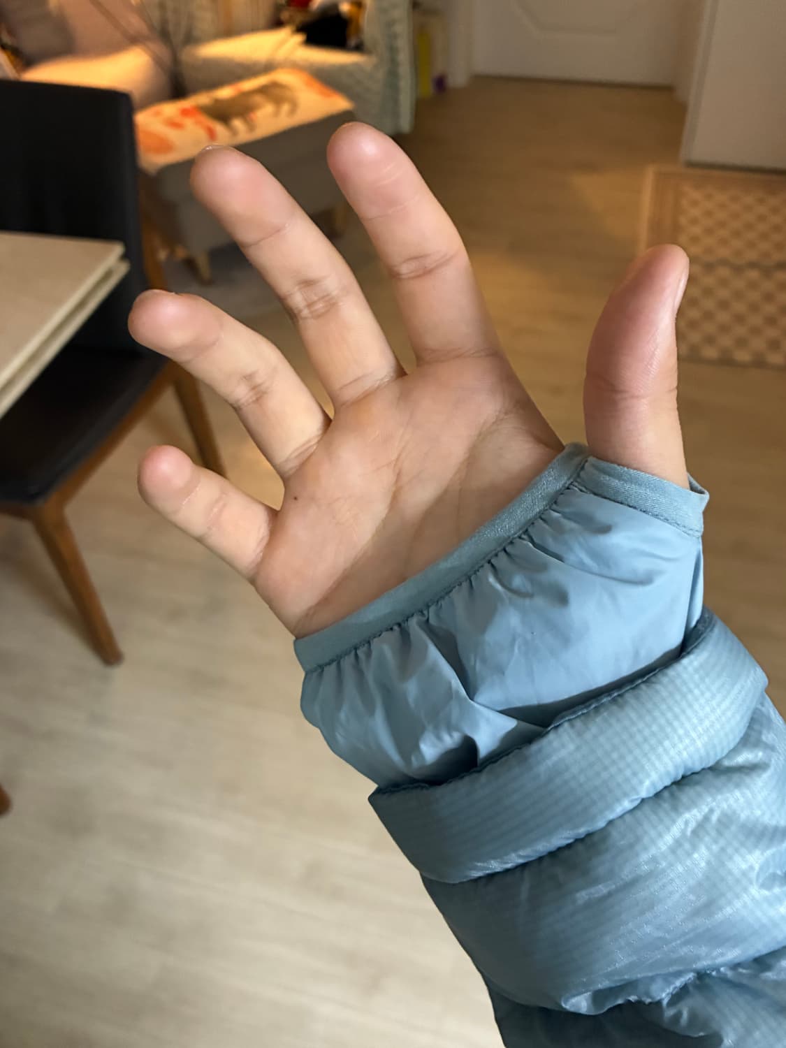 파이톤 덕다운 경량패딩 상품이미지2