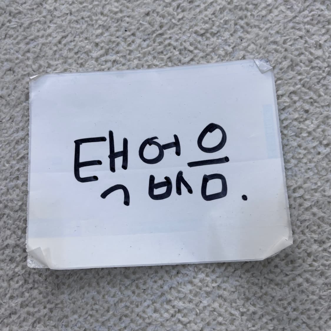 L 챔피온 무지 후드 티셔츠 0323E 상품이미지4