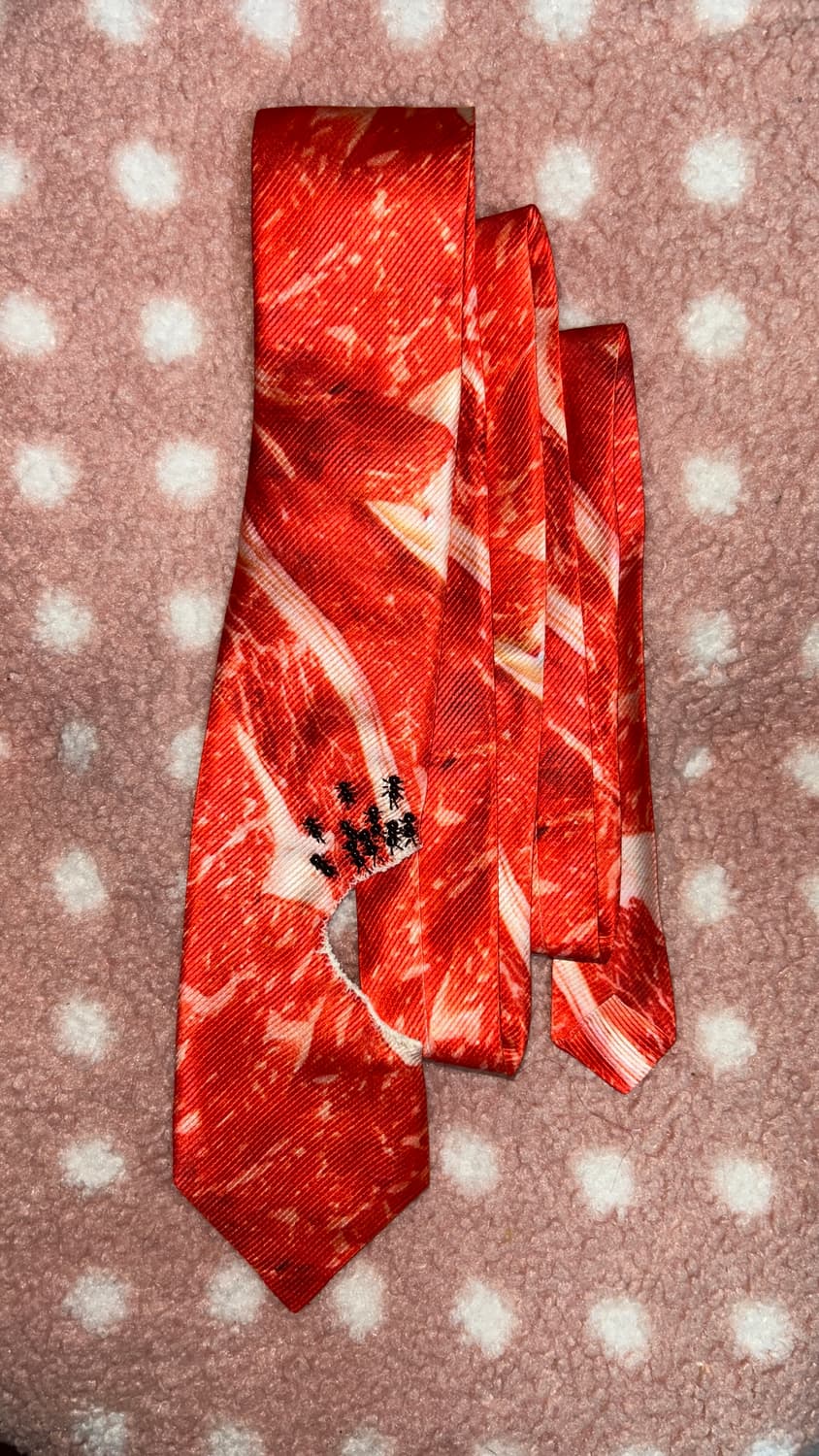 잡식성 개미 넥타이 상품이미지1