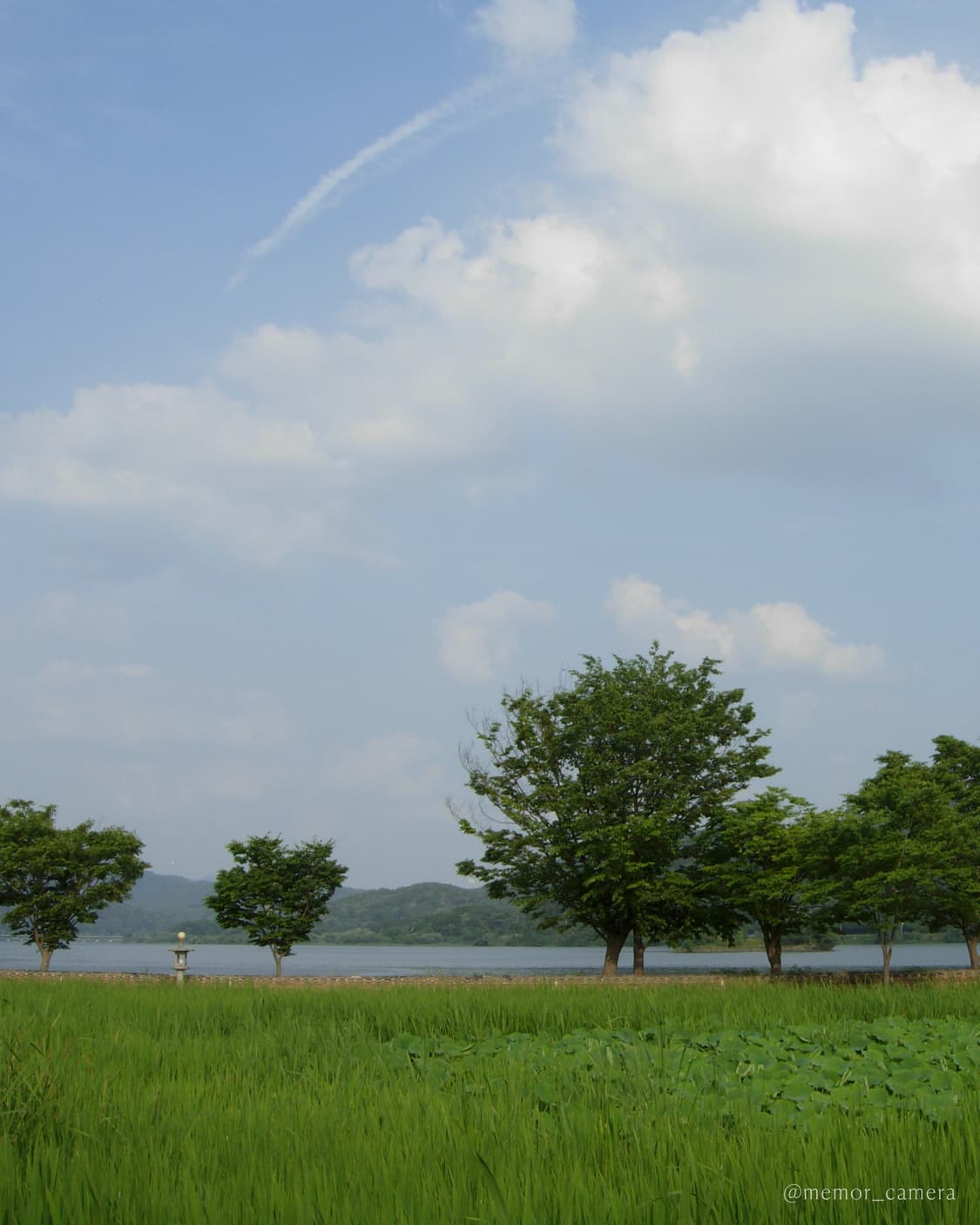 유튜버,아이돌픽✨ NIKON COOLPIX P3(P4) 니콘 쿨픽스 상품이미지6