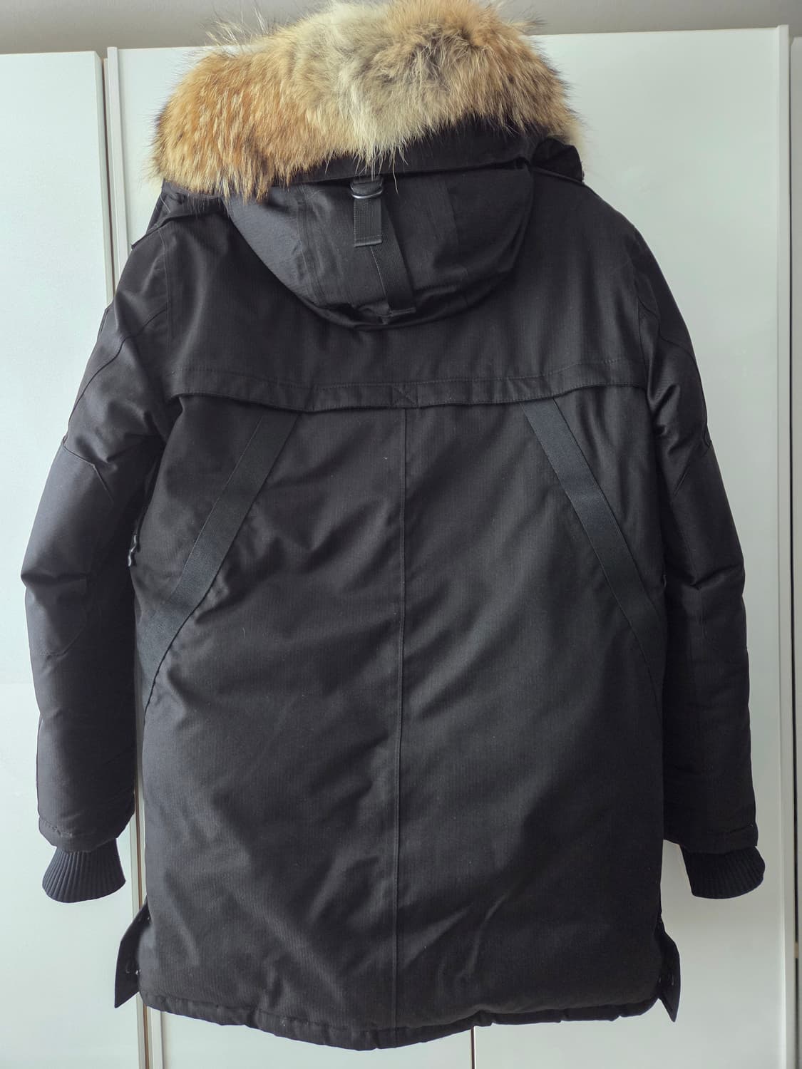 노비스 야테시 s/p 상품이미지2