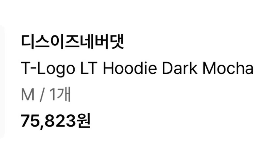 디스이즈네버댓 T-Logo LT Hoodie Dark Mocha 상품이미지2