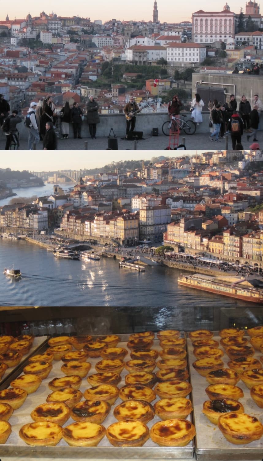 캐논 Canon ixy10 (ixus70) 민트급 상품이미지6