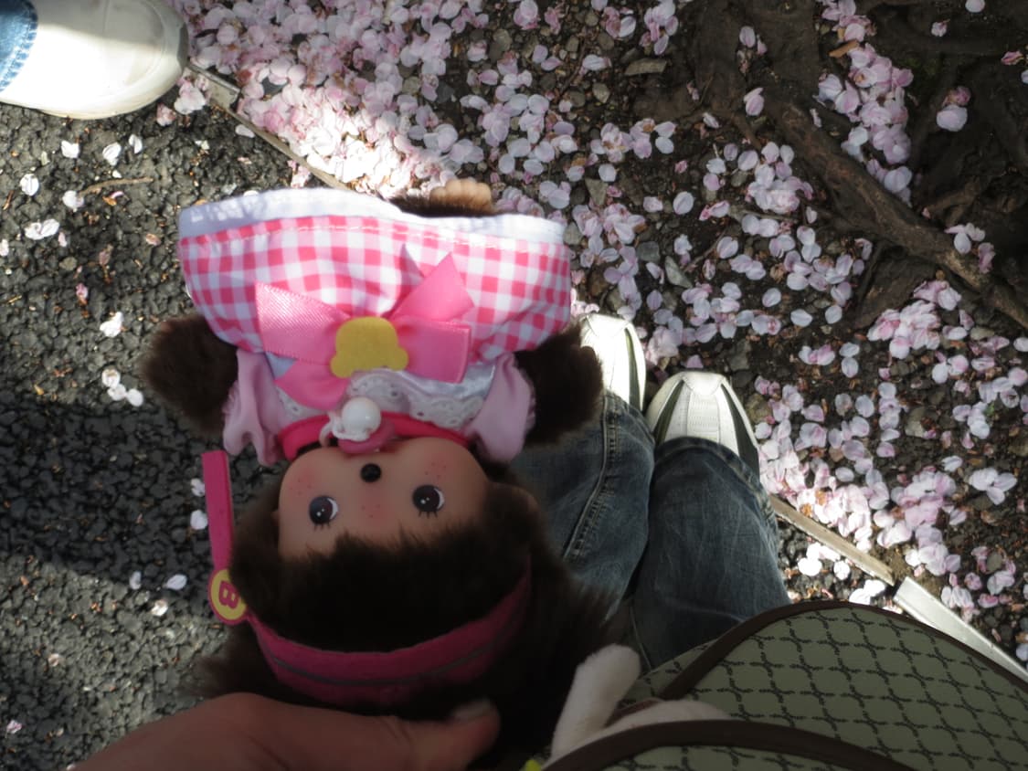 캐논 IXY3 (희귀) 상품이미지9