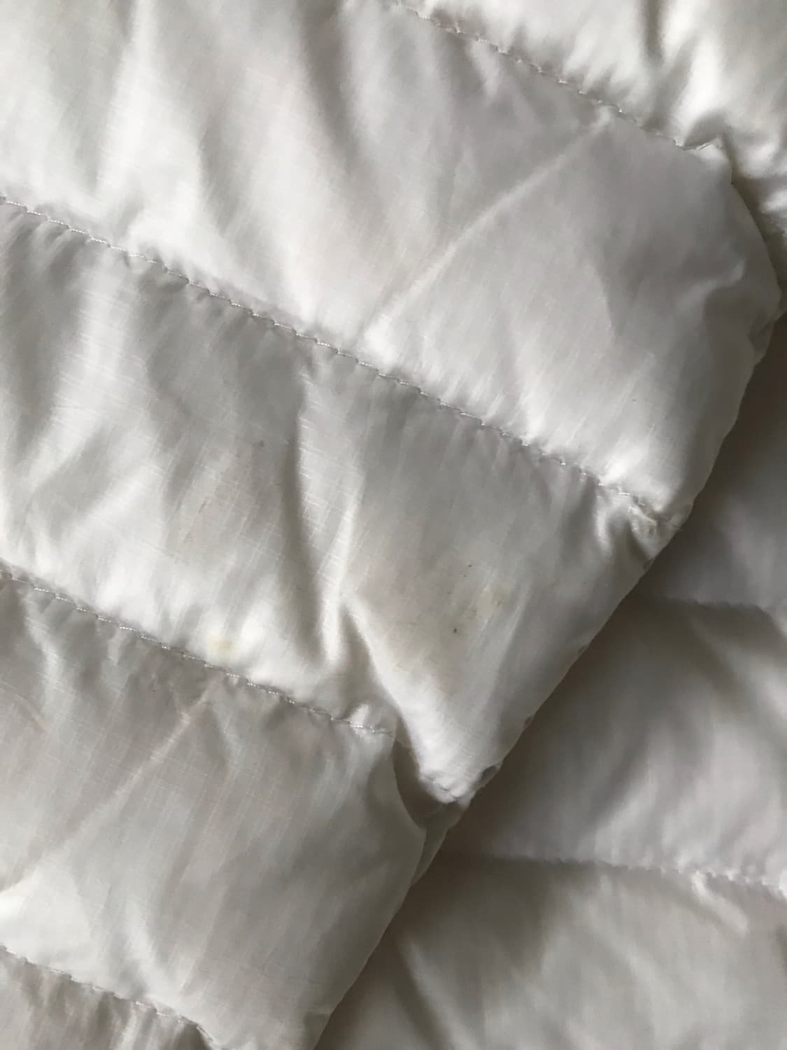 노페 아이보리 실버 경량패딩 상품이미지9