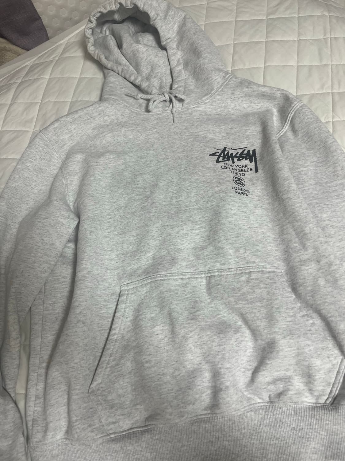 스투시 월드투어 후드티  상품이미지2