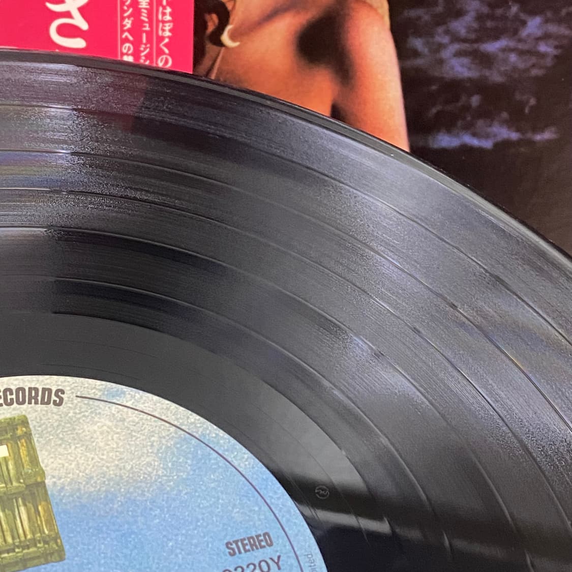 (LP) Linda Ronstadt -Hasten Down The 상품이미지6