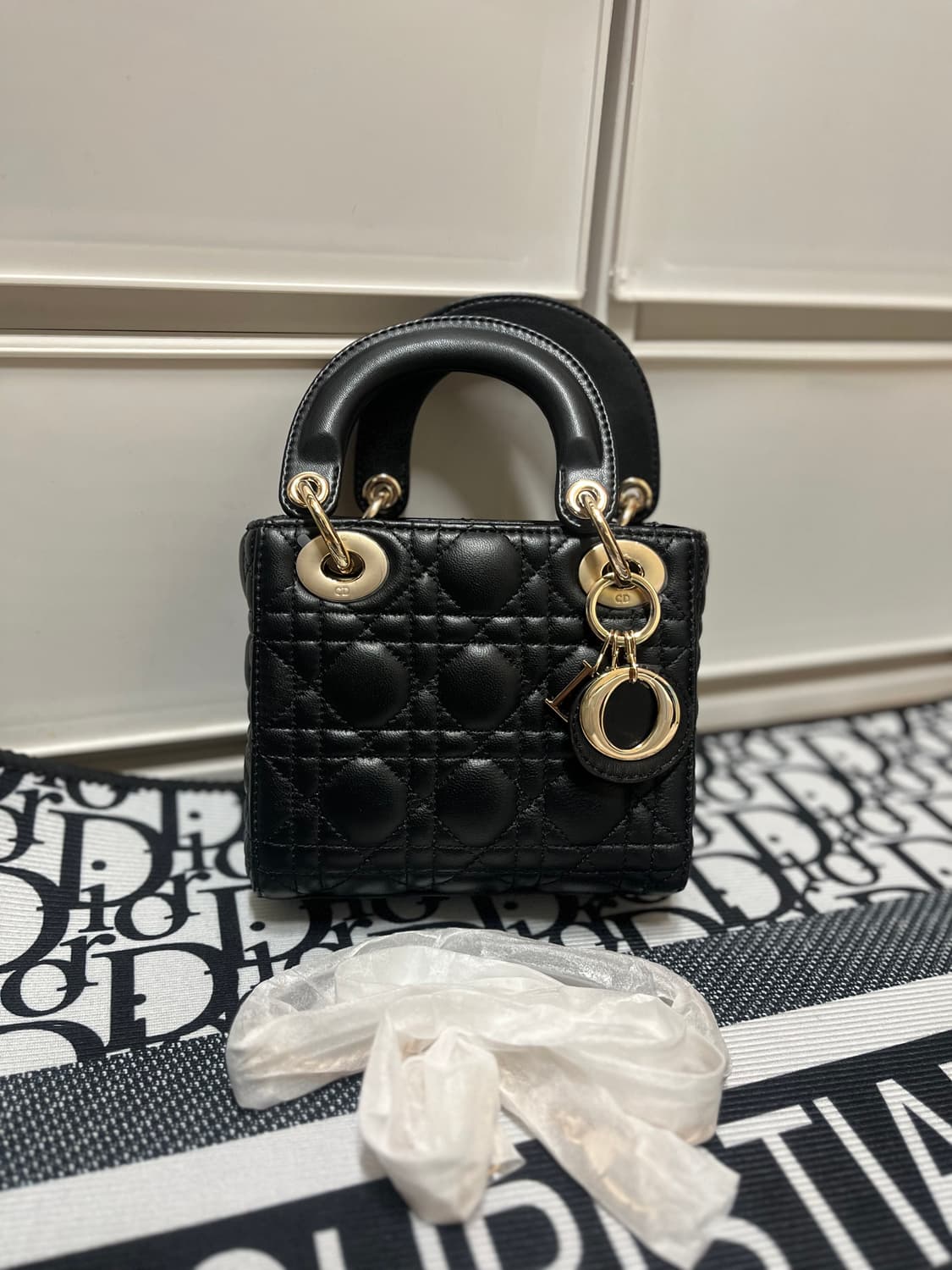 디올 레이디백 미니 사이즈 금장  상품이미지6