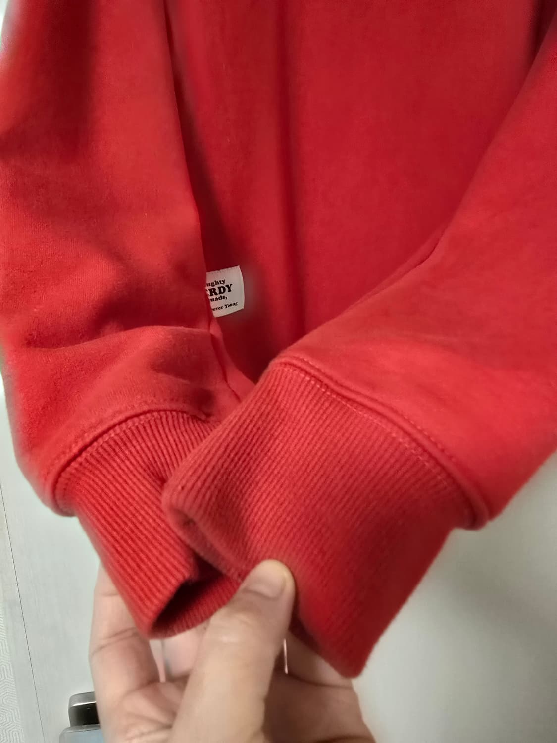 널디 오버핏 기모 도톰 맨투맨 L 상품이미지4