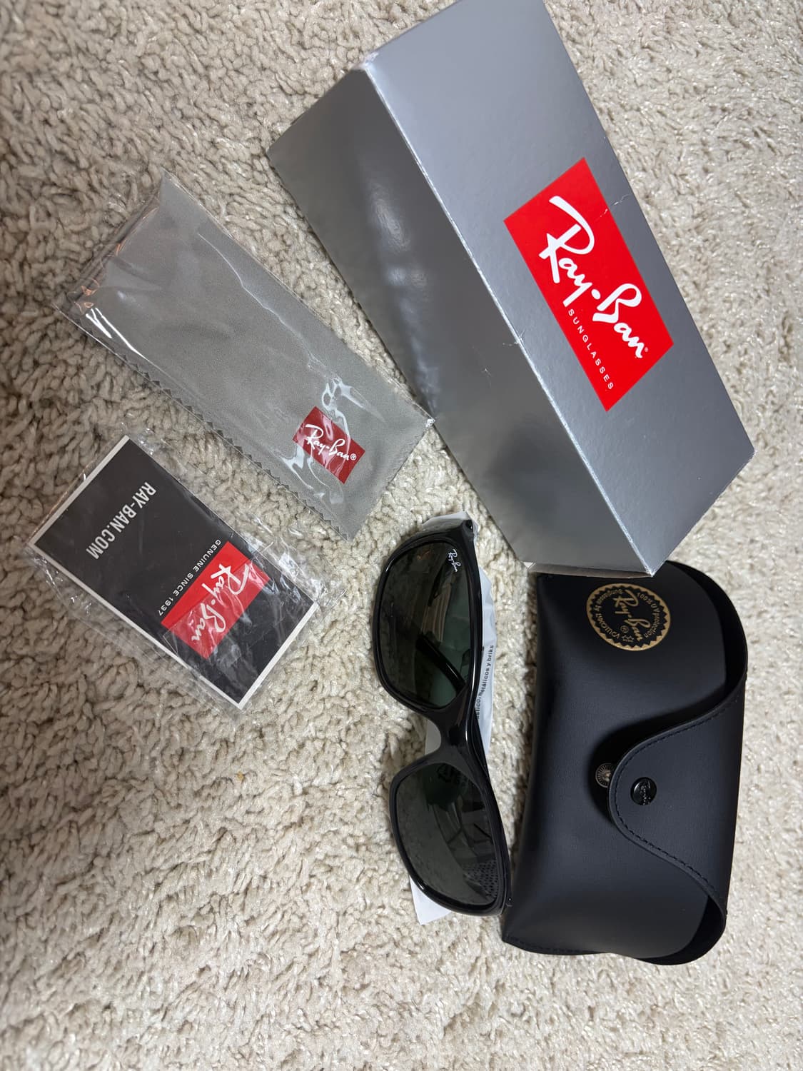 레이벤 대디오 상품이미지1