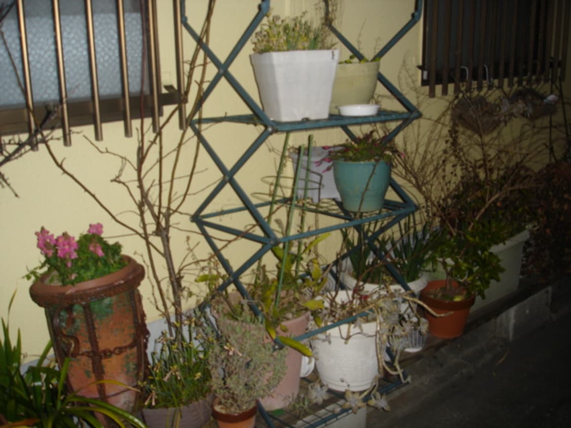 일본 소니 풀박 빈티지디카 완벽한색채감 쉬운조작 작례ok 사이버샷p5 상품이미지6