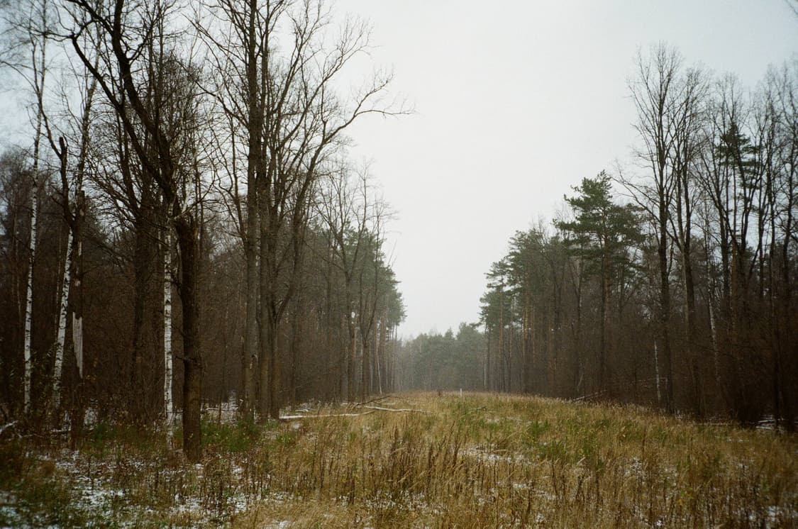 케녹스 70qs 밀레니엄 에디션 필름카메라 빈티지 필카 상품이미지6