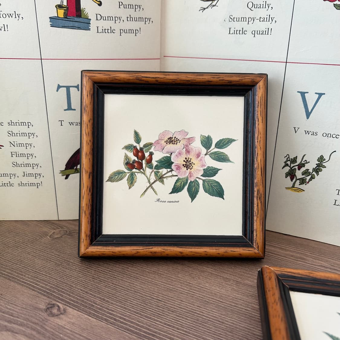 빈티지 보태니컬 꽃 액자 세트  상품이미지6