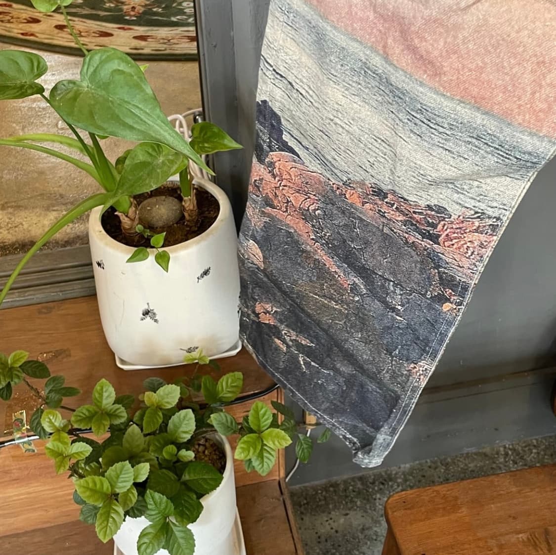 [30] 선플라워 sunflower 루즈 AOP 프린트 데님 팬츠 상품이미지9