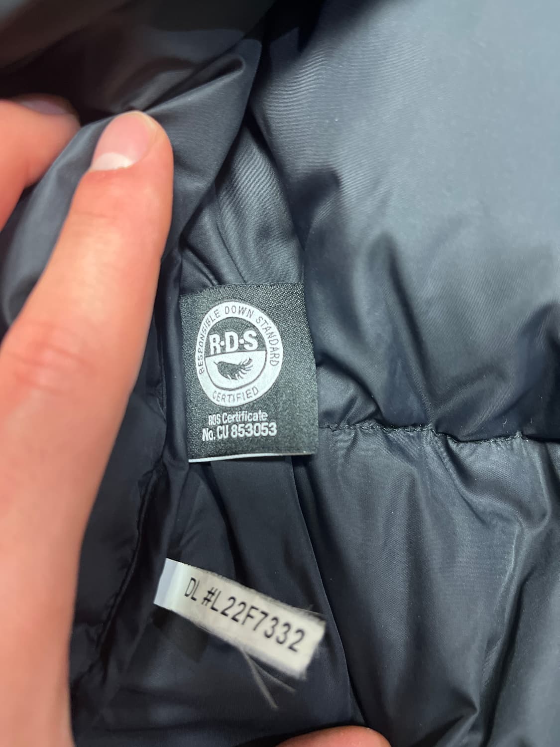 노스페이스 에코 패딩 L 상품이미지3