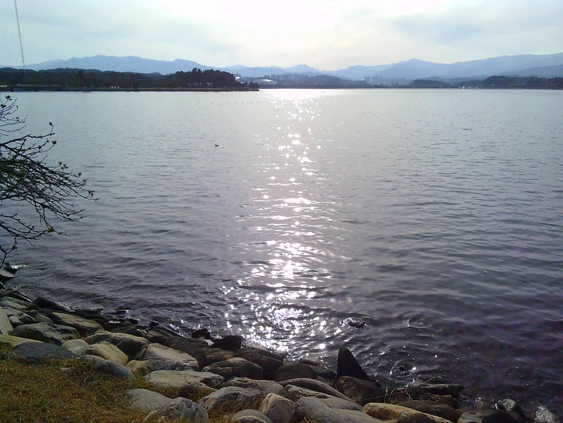 작례) 부이 y2k카메라 핑크 디카 디지털 카메라 상품이미지8