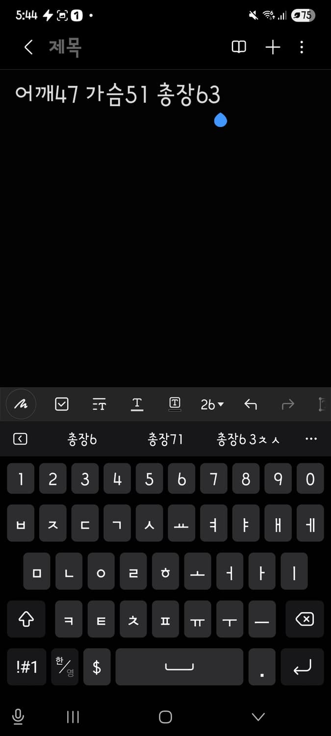 챔피온 롱슬리브 상품이미지5