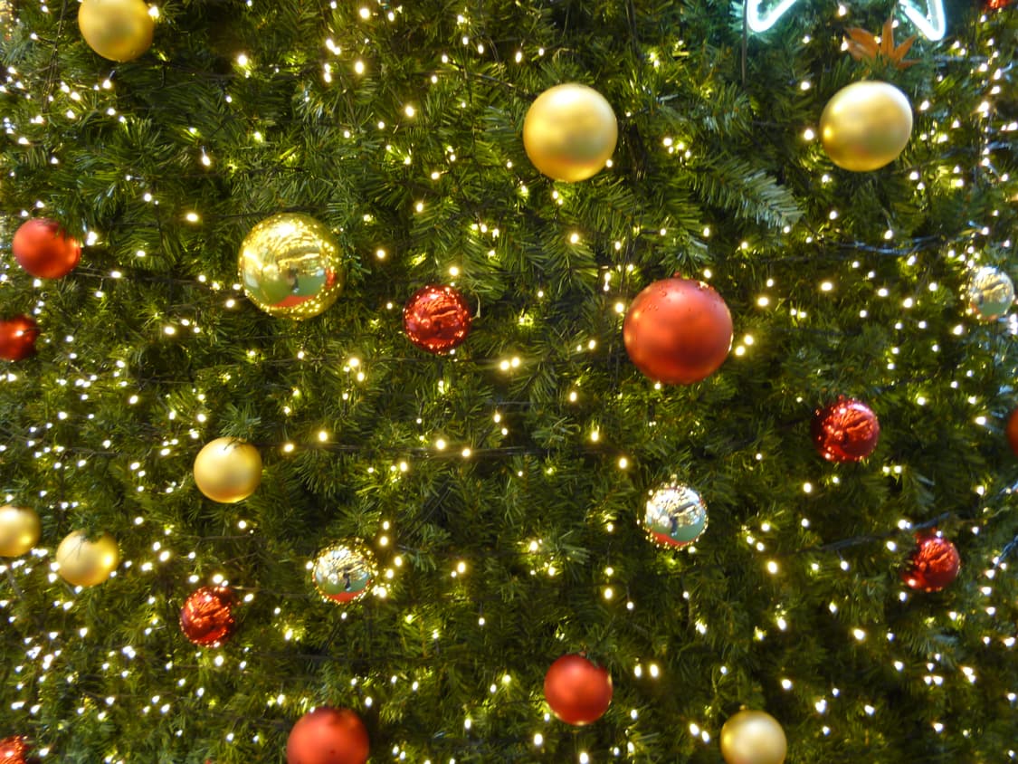 파나소닉 루믹스 Panasonic Lumix DMC-S1 블루 디카 상품이미지9