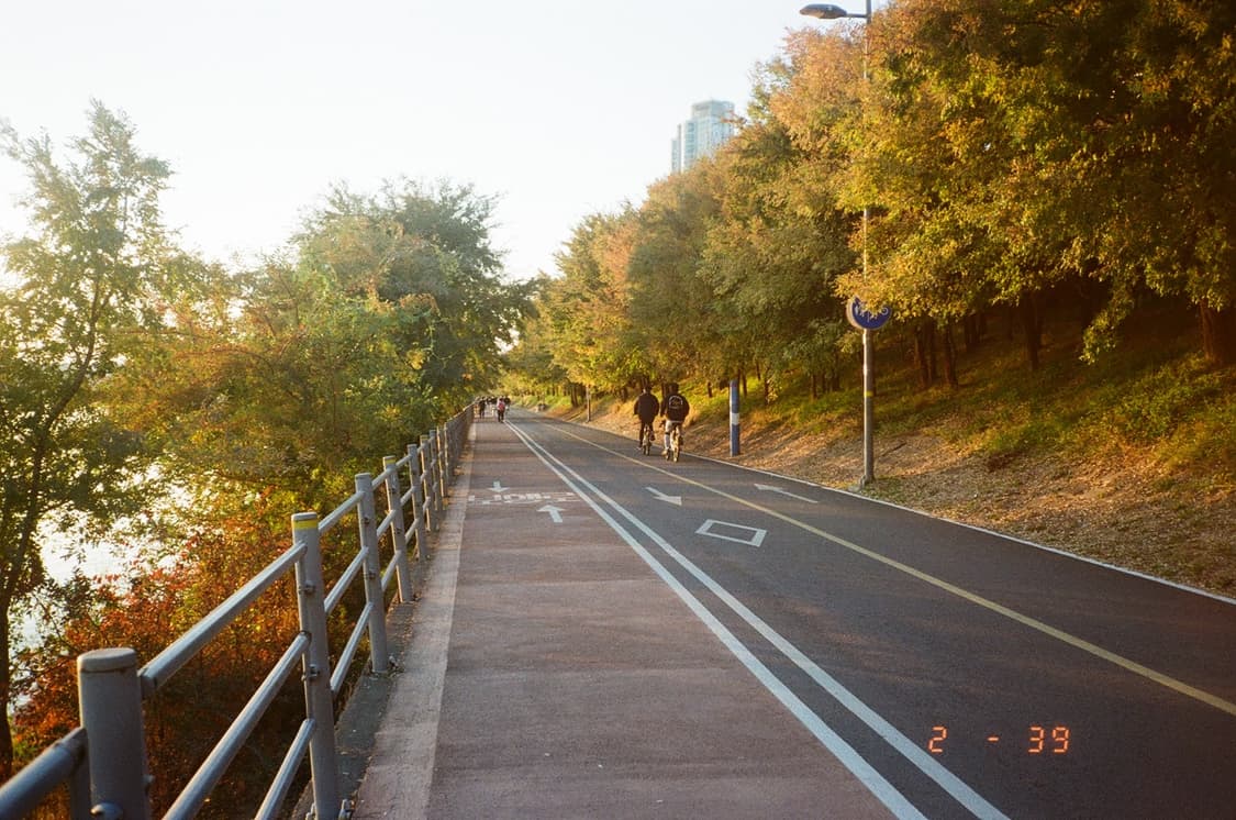 오늘만 이 가격 /FUJI Tele Cardia후지 텔레 필름 카메라 상품이미지5