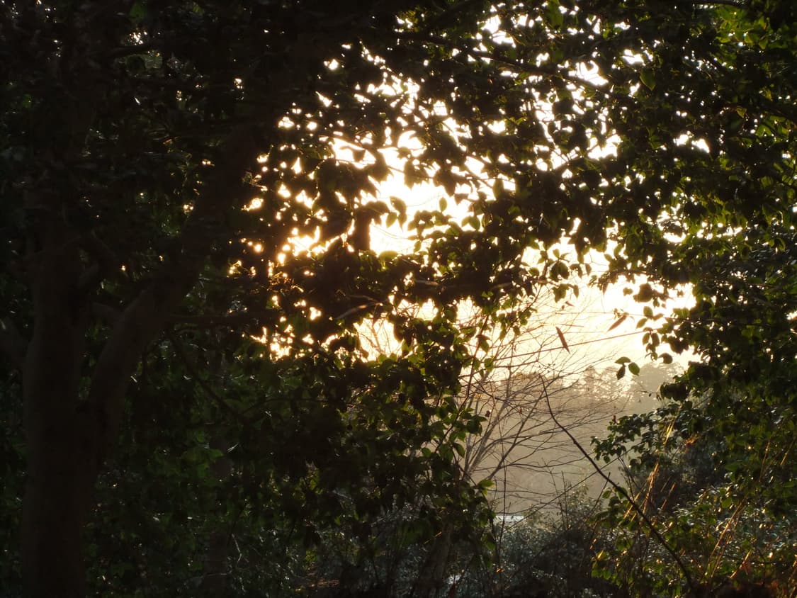 작례포함 !) 후지필름 파인픽스 F70exr 실버 상품이미지8