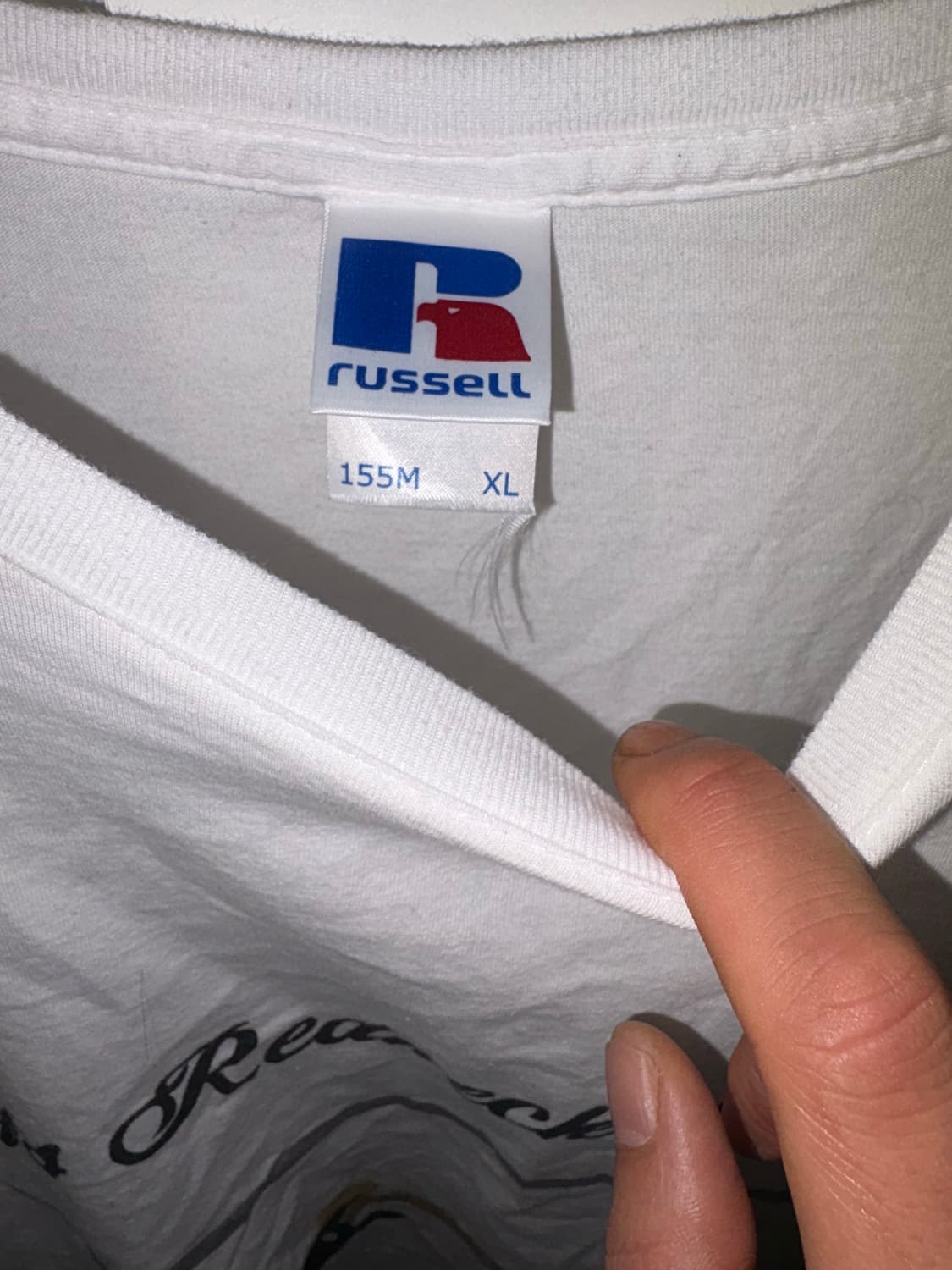 Russell 기타 티셔츠 (XL) 상품이미지2