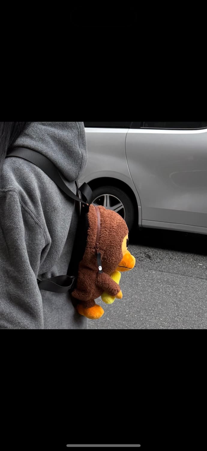 베이프 마일로가방 베이프 백팩 상품이미지2