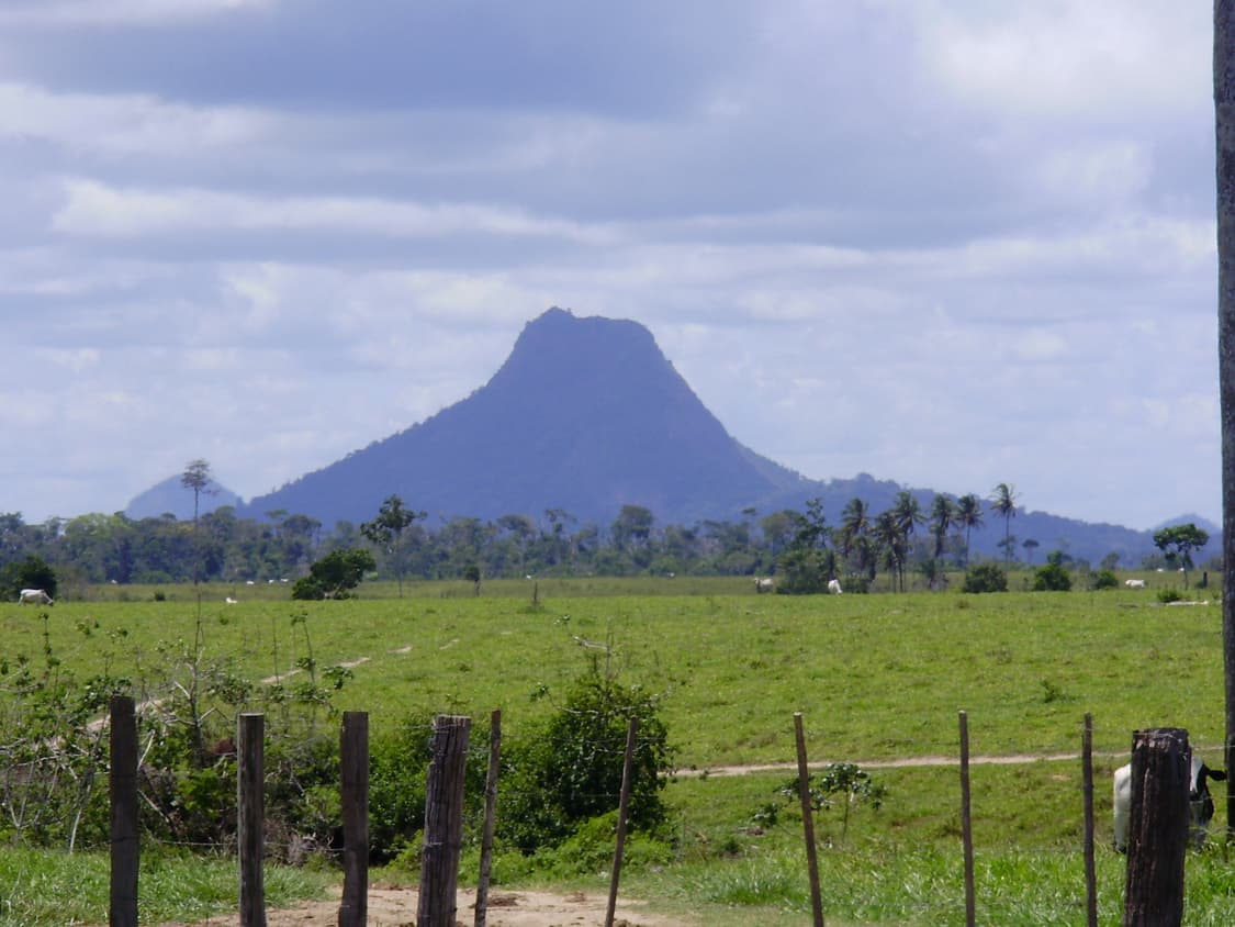 (레트로 색상💿) 올림푸스 OLYMPUS FE-330  상품이미지8