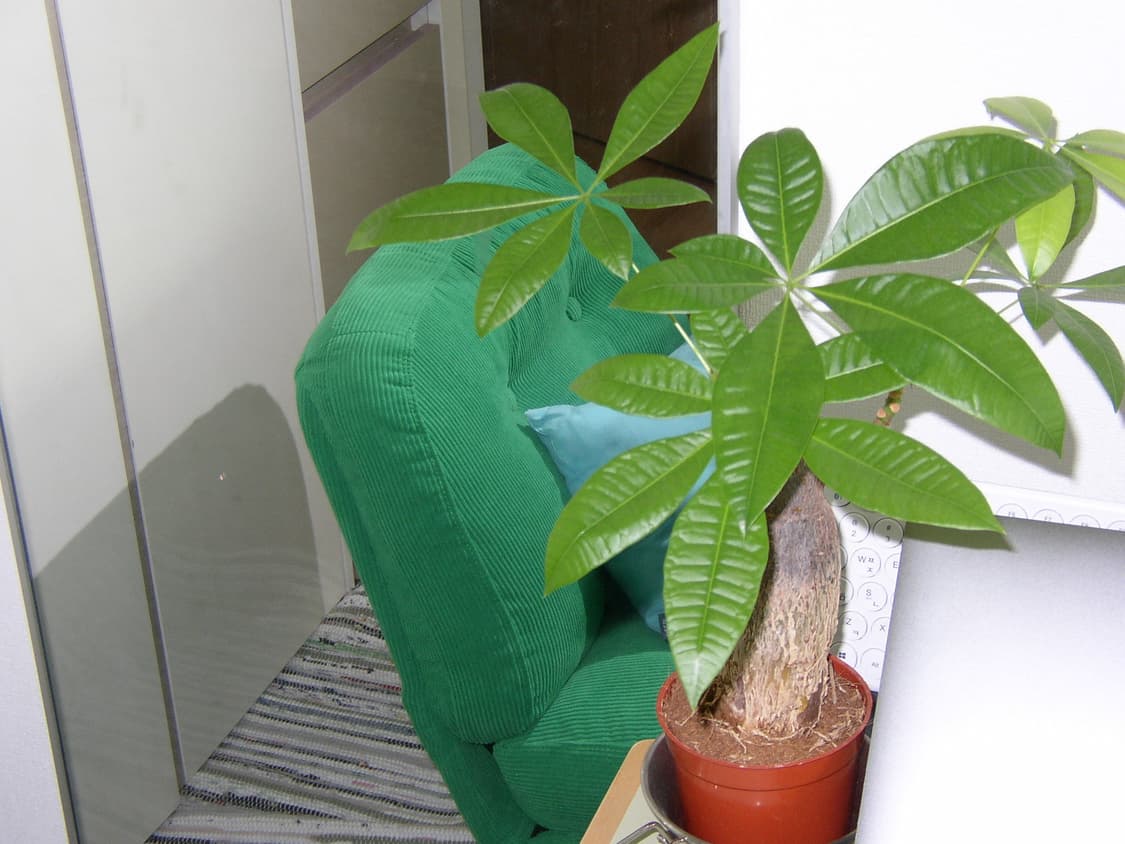 올림푸스 D-550 ZOOM 빈티지 디지털카메라 상품이미지10