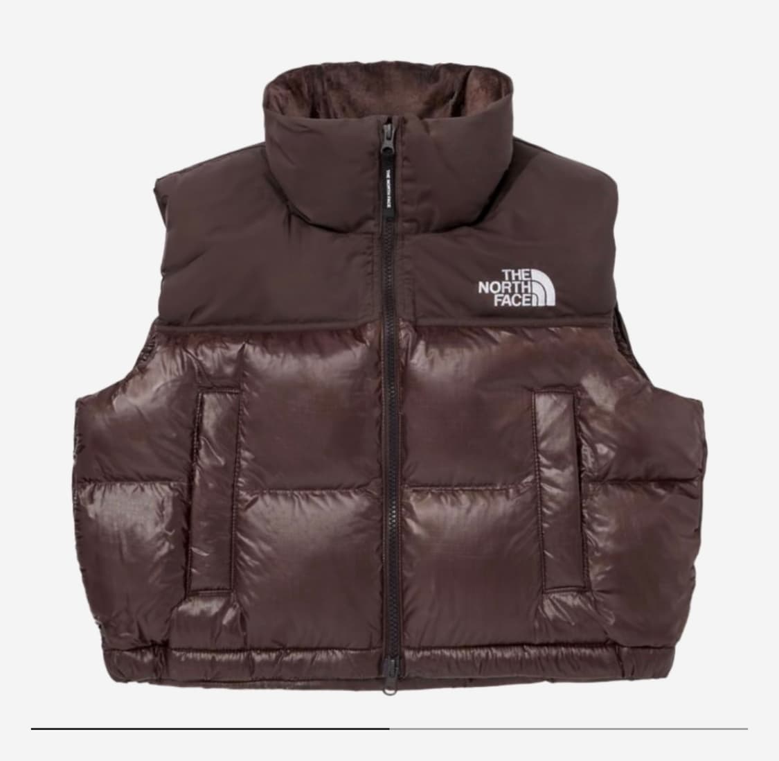 더 노스페이스 화이트 라벨 노벨티 눕시 다운 베스트 브라운 (W) XL 상품이미지1