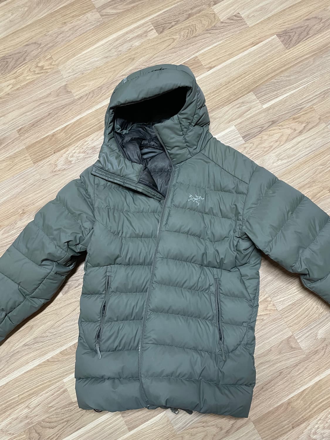 아크테릭스 토륨후디 포리지색상 상품이미지1