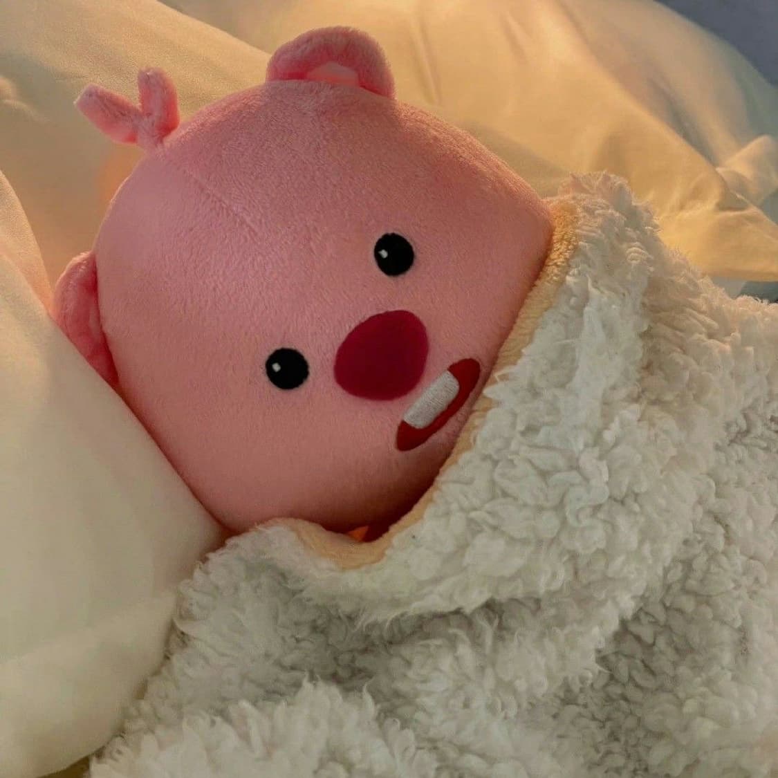 나이키 후드집업 판초 결제창 상품이미지1