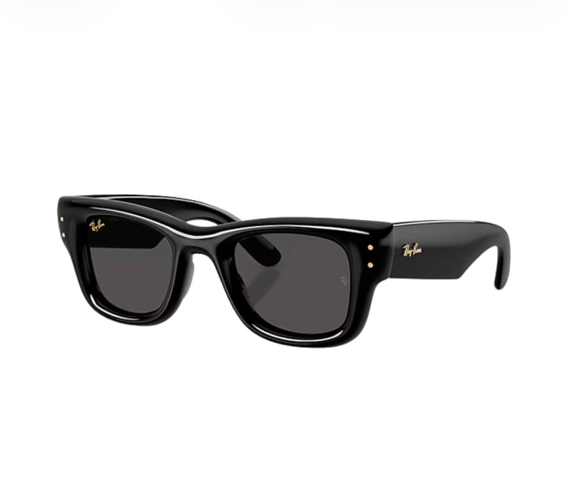 레이밴 x 에이셉 라키 웨이페어러 푸퍼 폴리쉬드 블랙 프레임 상품이미지1