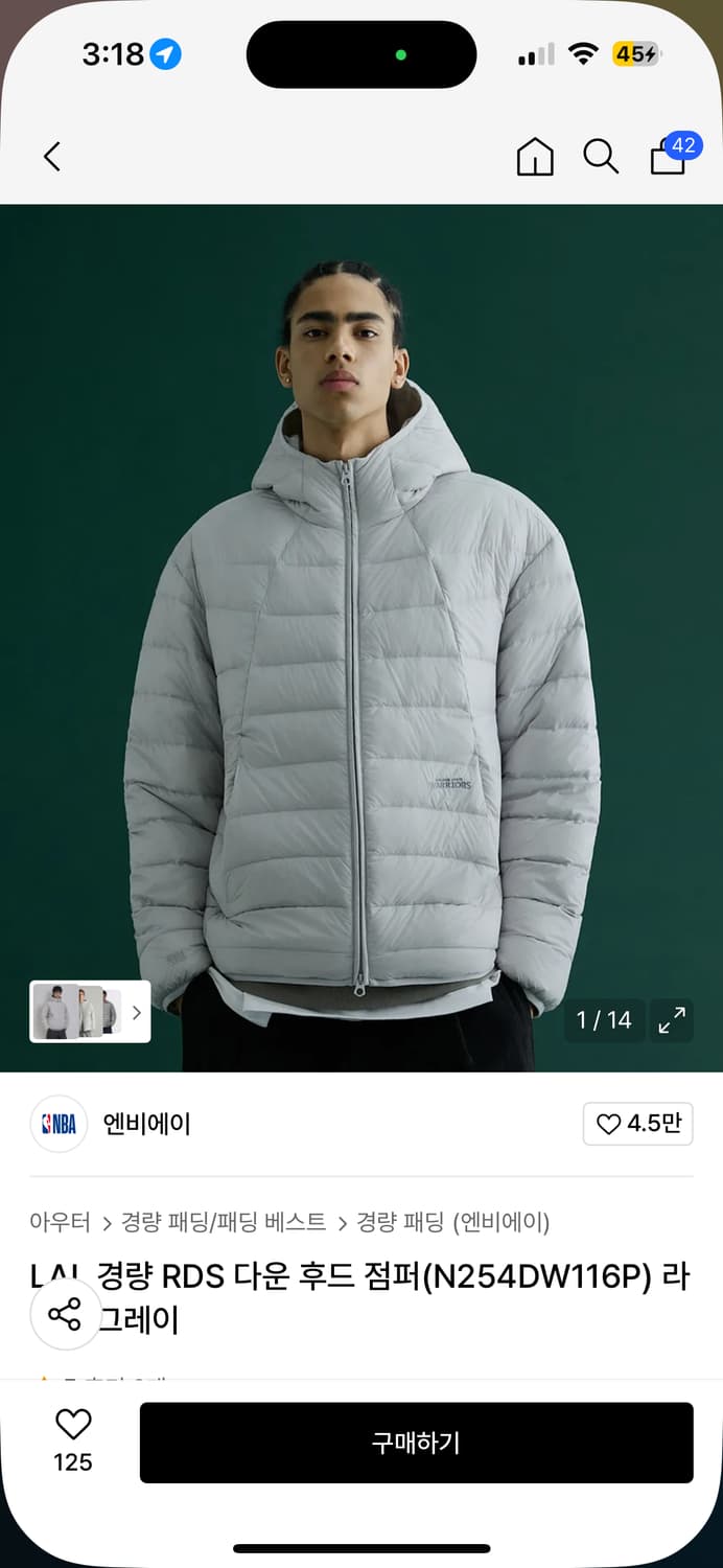 NBA 경량 RDS 다운 후드 점퍼 L 그레이 새상품 상품이미지1