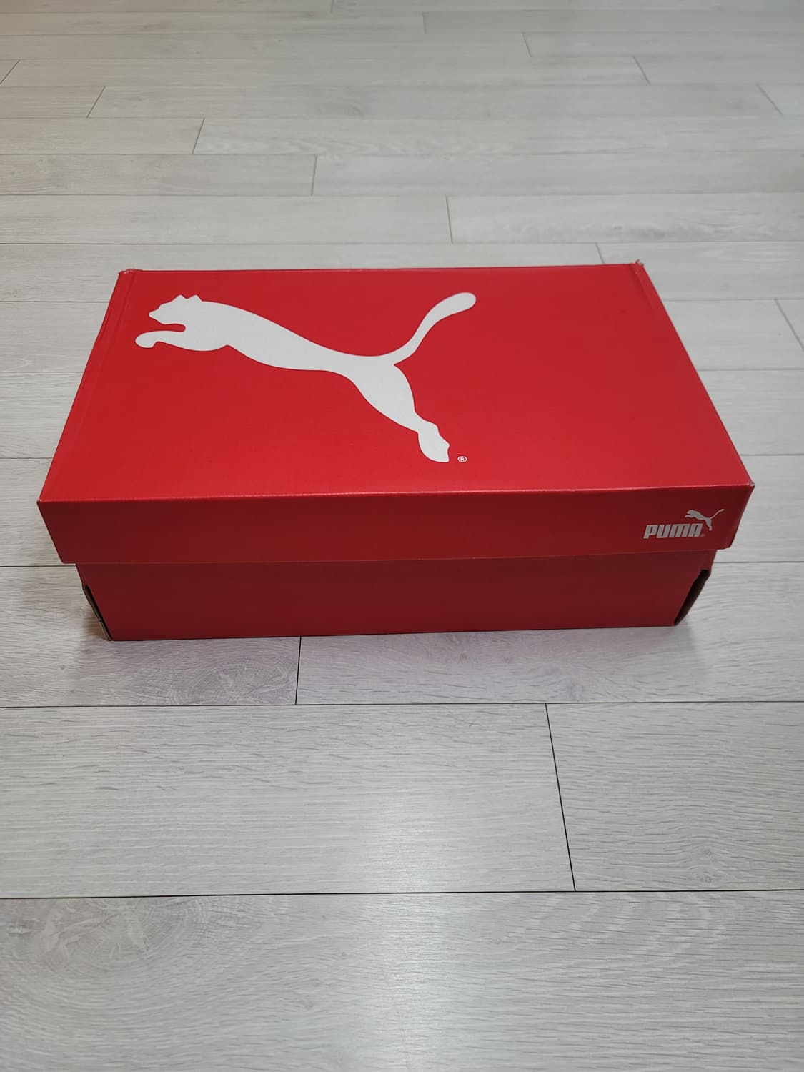 (275)푸마 풋살화 울트라 플레이 TT[대전 직거래도 가능] 상품이미지2