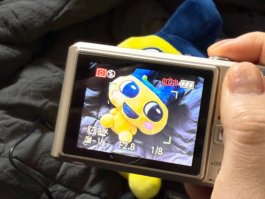 파나소닉 루믹스 fx100 상품이미지3