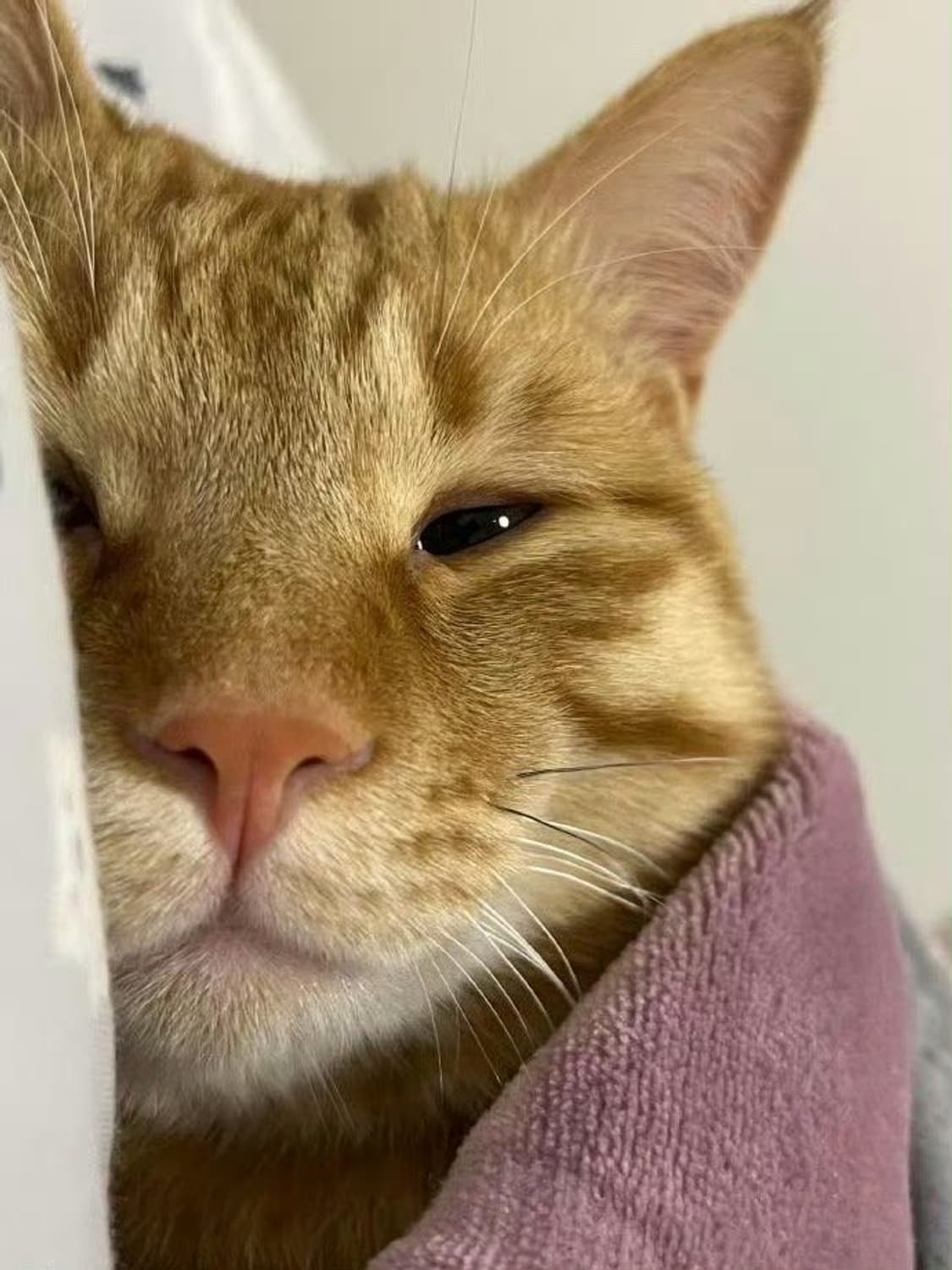 전용페이지 상품이미지1