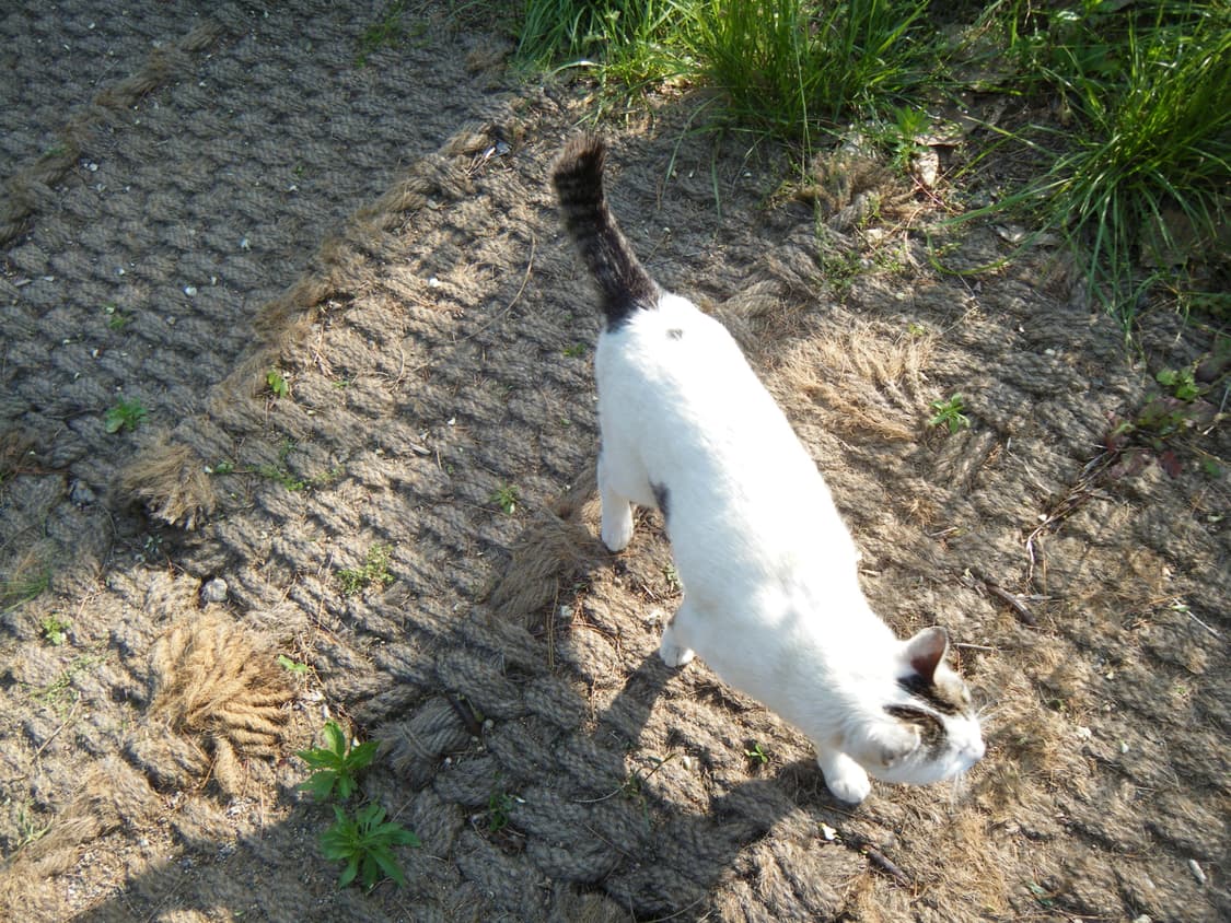 후지필름 z30(작례o) 상품이미지7