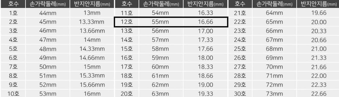 Colonist Laurel Wreath ring 금반지 상품이미지4