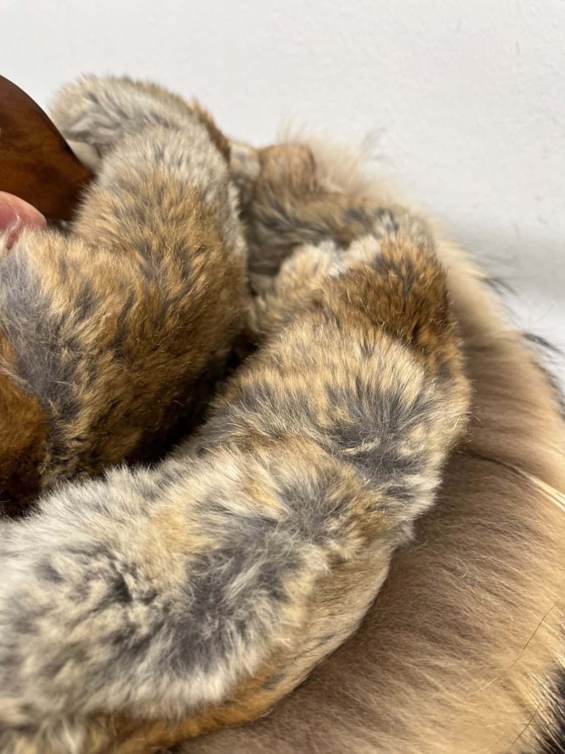 여) 파라점퍼스 롱베어 다운파카  상품이미지3