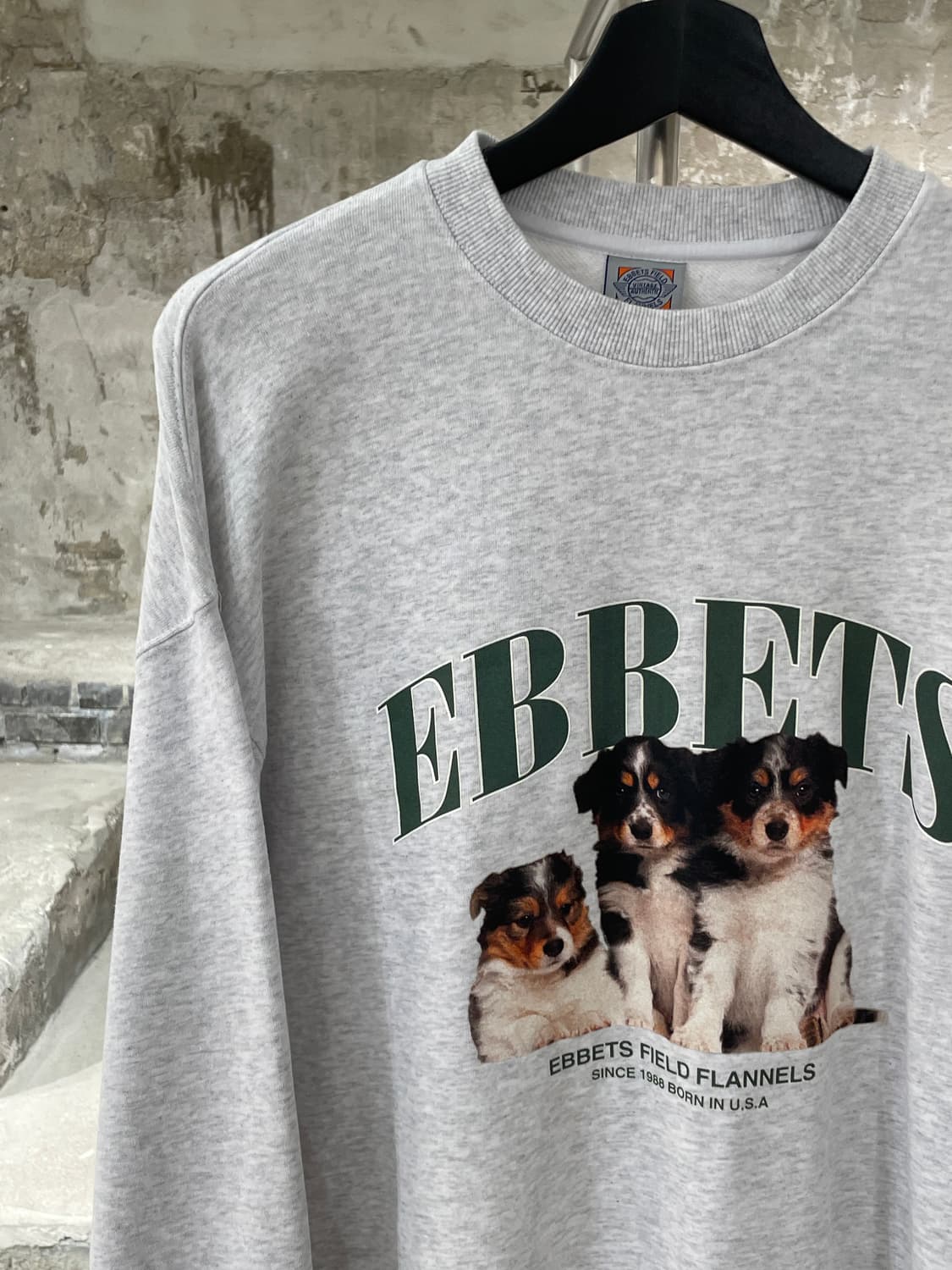 이벳필드 멜란지 그레이 보더콜리 퍼피 스웻 셔츠 상품이미지2