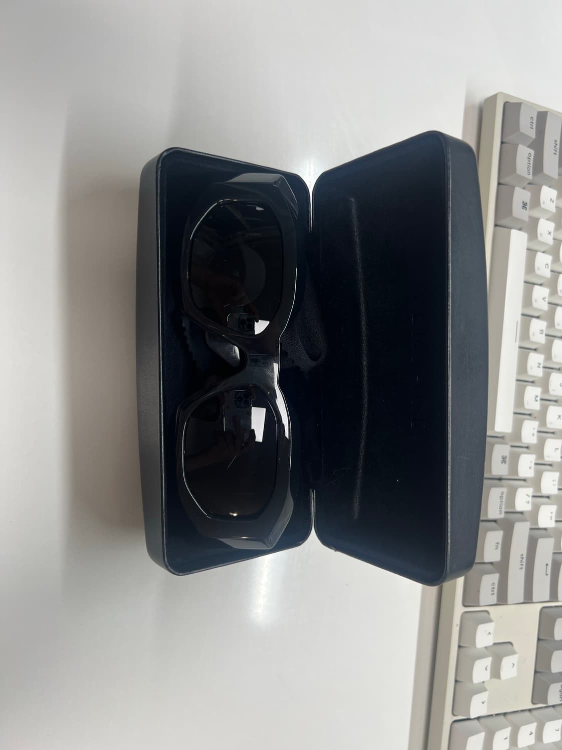 Vessace 4425U 선글라스 (창모 등 착용) 상품이미지2