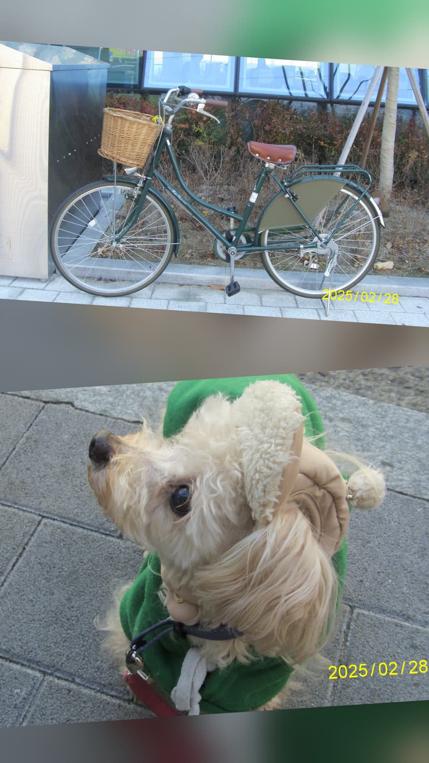 삼성 i70 디지털카메라  상품이미지8