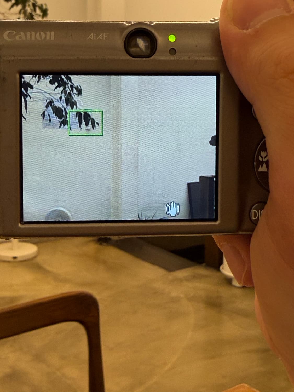 풀박 캐논 익서스850=익시900 IS  (ixus 850) 작례o 상품이미지9