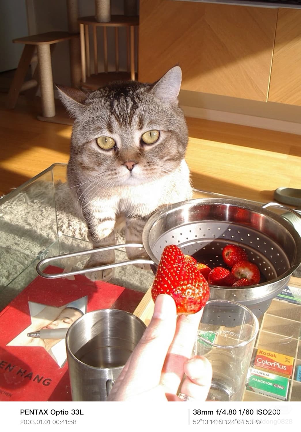 초레어,미품❤️) 펜탁스 옵티오 33L / Pentax Optio 33L 상품이미지6